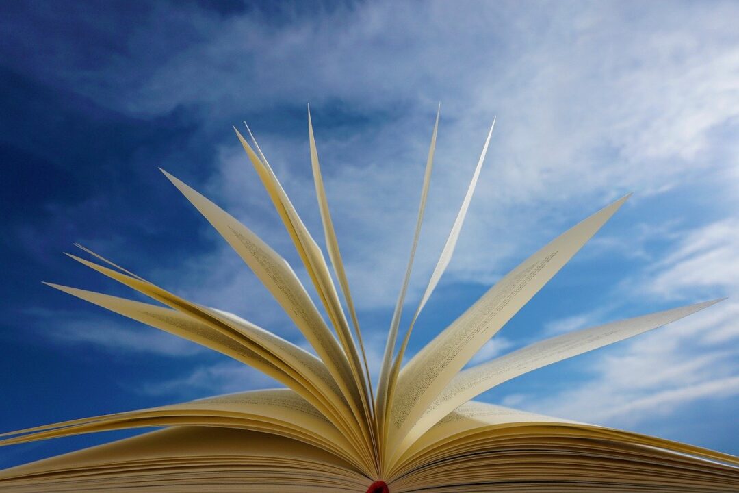 Gaia Vicenzi Books Libri